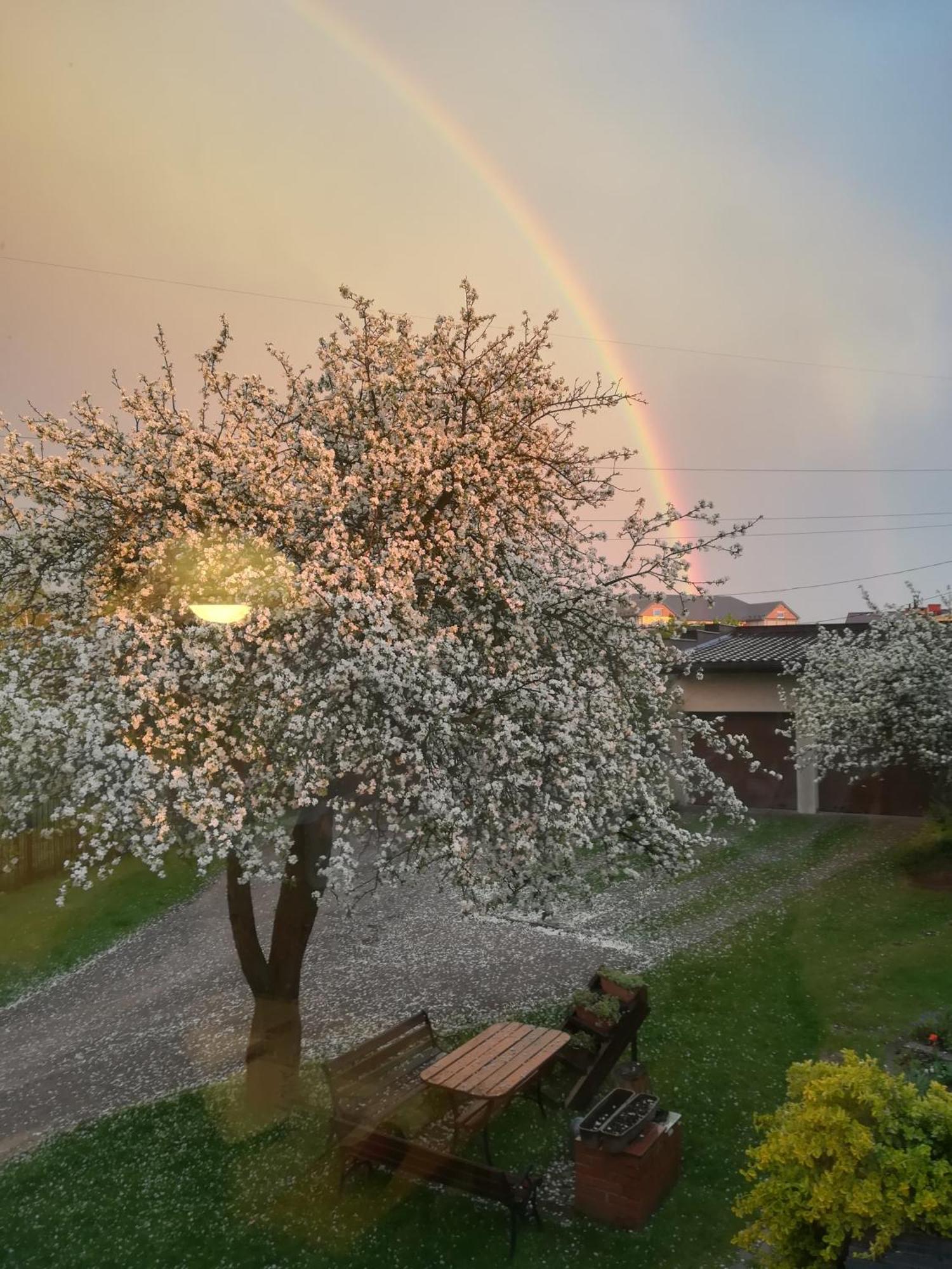 Przytulny Dom Pod Jabloniami Przy Targach Kielce Villa ภายนอก รูปภาพ